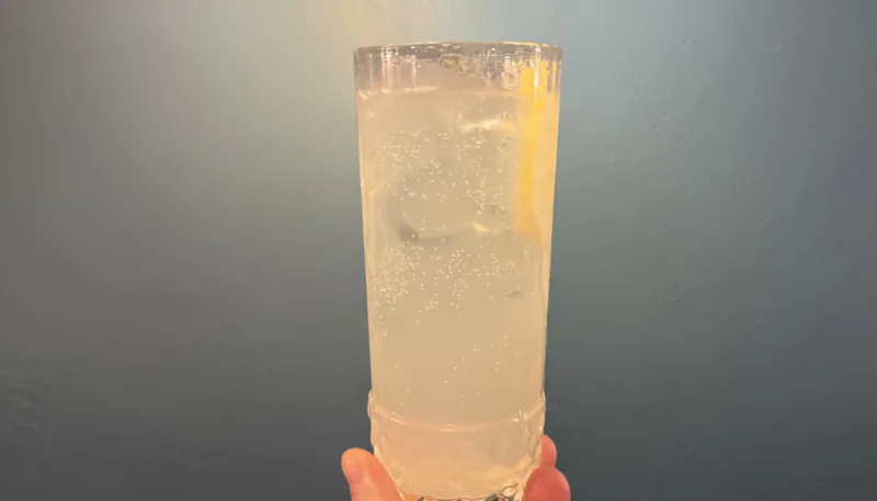 Gin Fizz